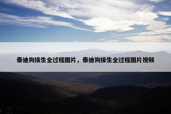 泰迪狗接生全过程图片，泰迪狗接生全过程图片视频