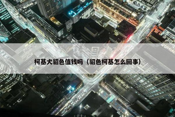 柯基犬貂色值钱吗（貂色柯基怎么回事）