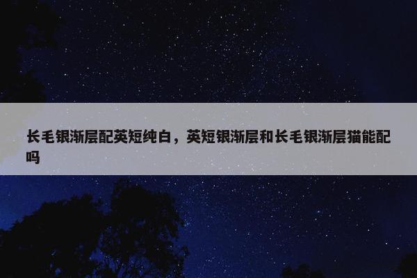 长毛银渐层配英短纯白，英短银渐层和长毛银渐层猫能配吗