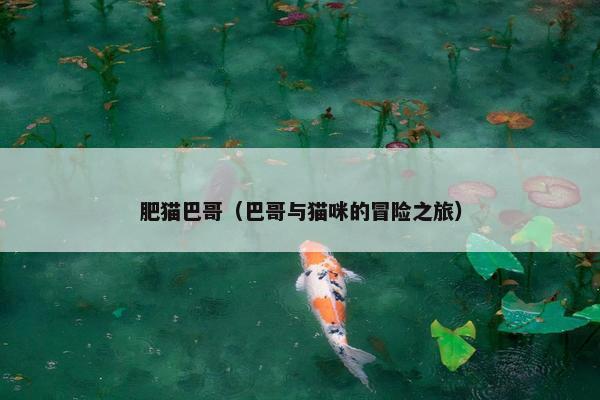 肥猫巴哥（巴哥与猫咪的冒险之旅）