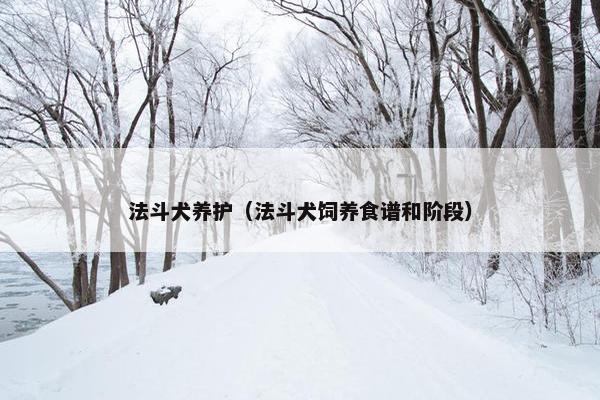 法斗犬养护（法斗犬饲养食谱和阶段）