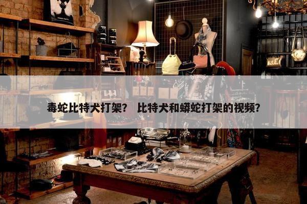 毒蛇比特犬打架？ 比特犬和蟒蛇打架的视频？