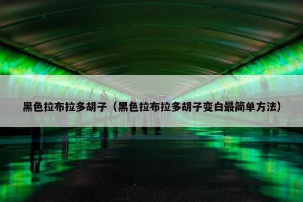 黑色拉布拉多胡子（黑色拉布拉多胡子变白最简单方法）