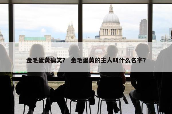 金毛蛋黄搞笑？ 金毛蛋黄的主人叫什么名字？