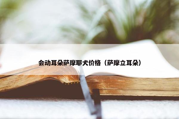 会动耳朵萨摩耶犬价格（萨摩立耳朵）