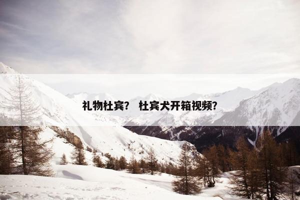 礼物杜宾？ 杜宾犬开箱视频？