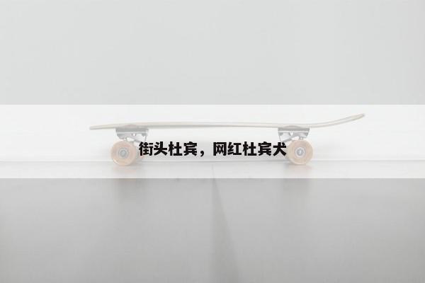 街头杜宾，网红杜宾犬