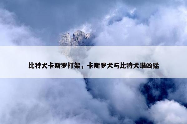 比特犬卡斯罗打架，卡斯罗犬与比特犬谁凶猛
