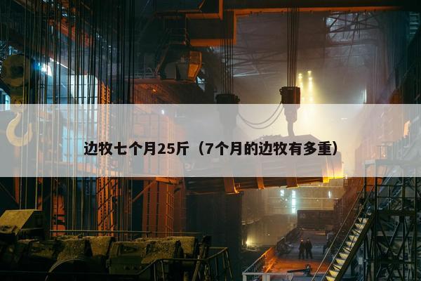 边牧七个月25斤（7个月的边牧有多重）