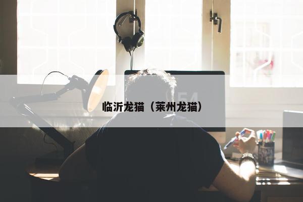 临沂龙猫（莱州龙猫）