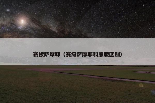 赛板萨摩耶（赛级萨摩耶和熊版区别）