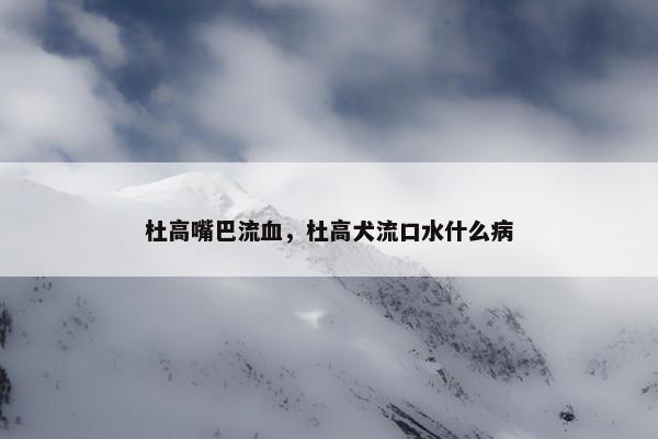 杜高嘴巴流血，杜高犬流口水什么病