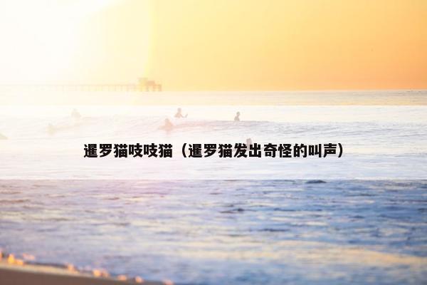 暹罗猫吱吱猫（暹罗猫发出奇怪的叫声）
