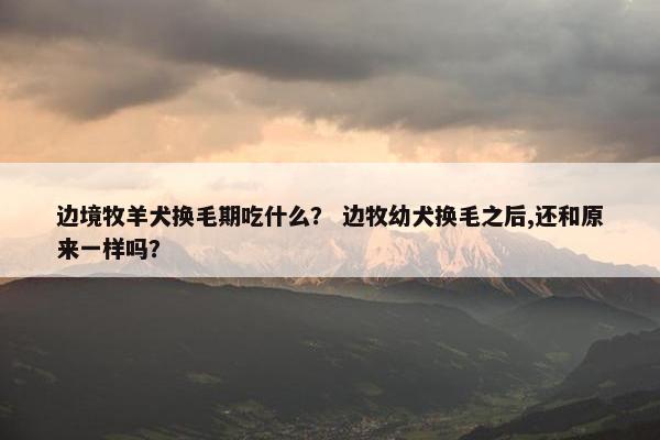 边境牧羊犬换毛期吃什么？ 边牧幼犬换毛之后,还和原来一样吗？