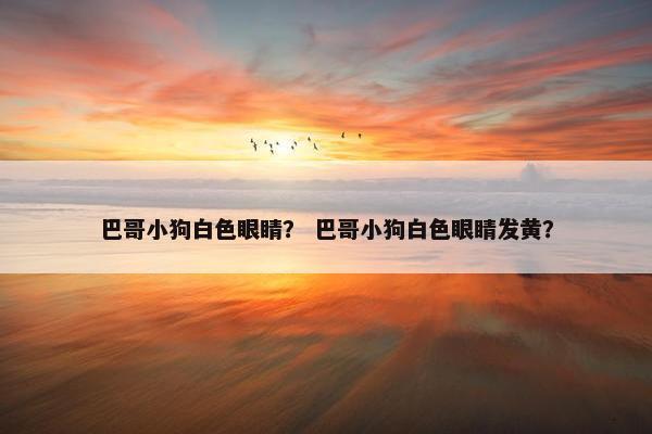 巴哥小狗白色眼睛？ 巴哥小狗白色眼睛发黄？