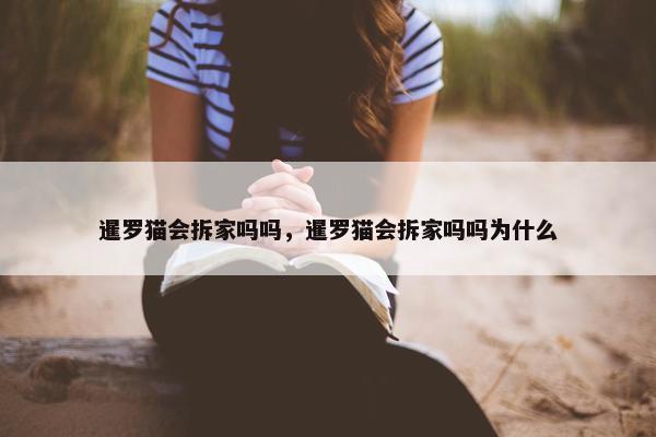暹罗猫会拆家吗吗，暹罗猫会拆家吗吗为什么