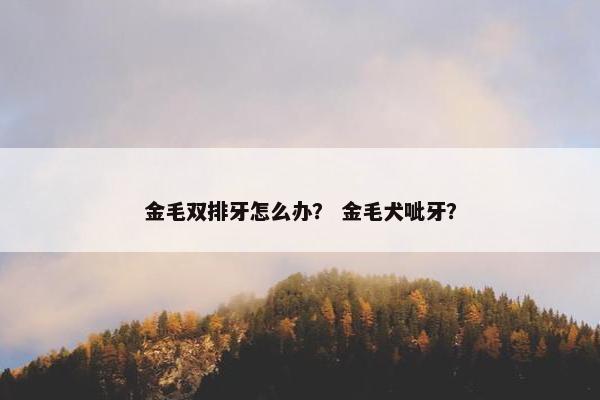 金毛双排牙怎么办？ 金毛犬呲牙？