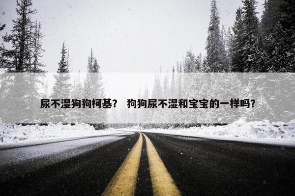 尿不湿狗狗柯基？ 狗狗尿不湿和宝宝的一样吗？