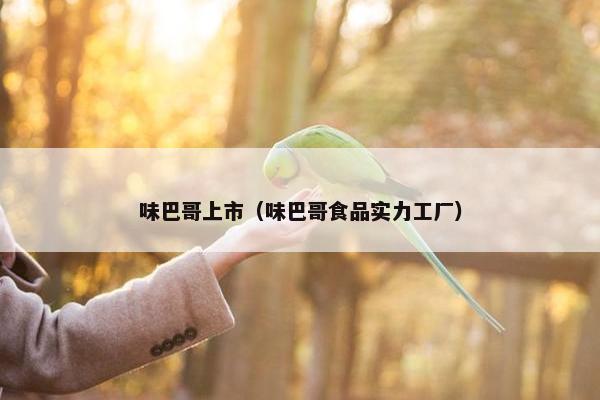 味巴哥上市（味巴哥食品实力工厂）