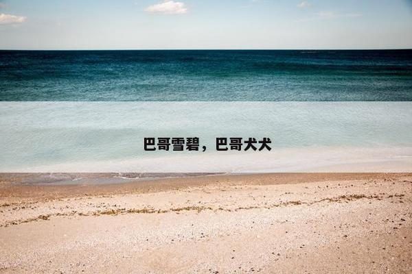 巴哥雪碧，巴哥犬犬