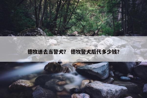德牧送去当警犬？ 德牧警犬后代多少钱？