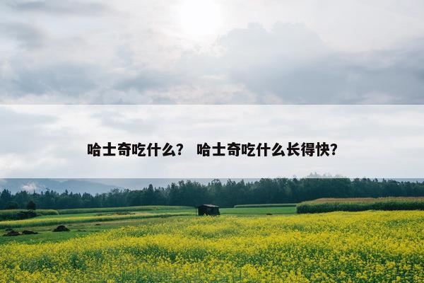 哈士奇吃什么？ 哈士奇吃什么长得快？