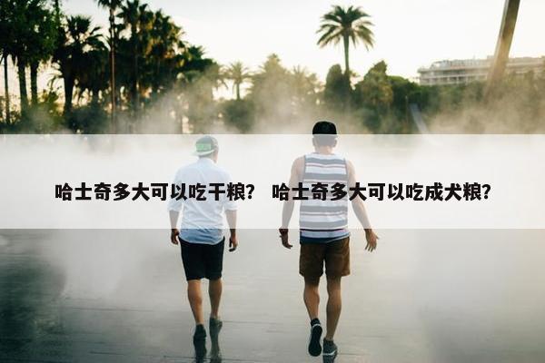 哈士奇多大可以吃干粮？ 哈士奇多大可以吃成犬粮？