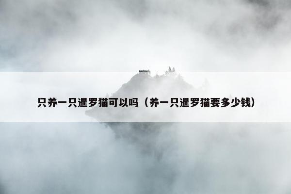只养一只暹罗猫可以吗（养一只暹罗猫要多少钱）