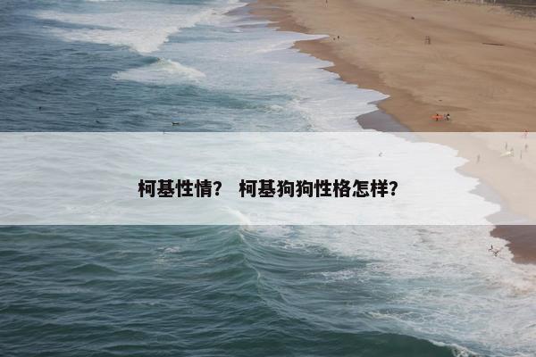 柯基性情？ 柯基狗狗性格怎样？