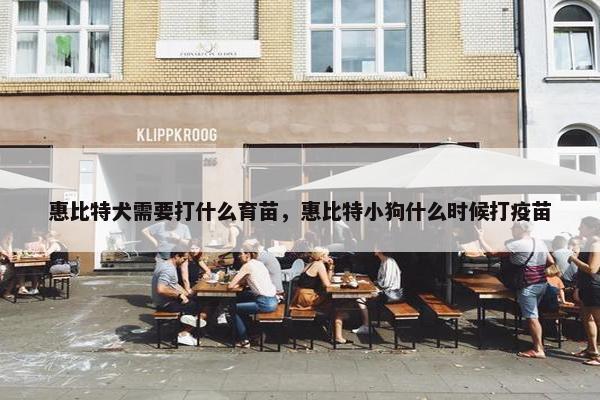 惠比特犬需要打什么育苗，惠比特小狗什么时候打疫苗