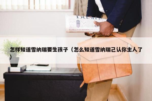 怎样知道雪纳瑞要生孩子（怎么知道雪纳瑞己认你主人了）