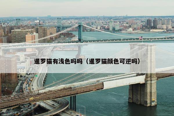 暹罗猫有浅色吗吗（暹罗猫颜色可逆吗）