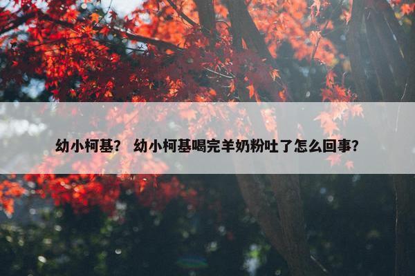 幼小柯基？ 幼小柯基喝完羊奶粉吐了怎么回事？