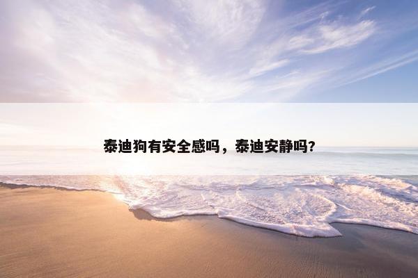 泰迪狗有安全感吗，泰迪安静吗?