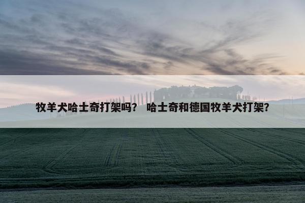 牧羊犬哈士奇打架吗？ 哈士奇和德国牧羊犬打架？