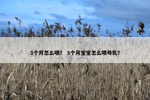 3个月怎么喂？ 3个月宝宝怎么喂母乳？