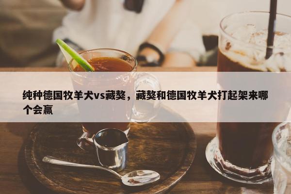 纯种德国牧羊犬vs藏獒，藏獒和德国牧羊犬打起架来哪个会赢