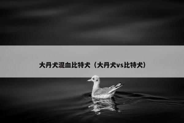 大丹犬混血比特犬（大丹犬vs比特犬）