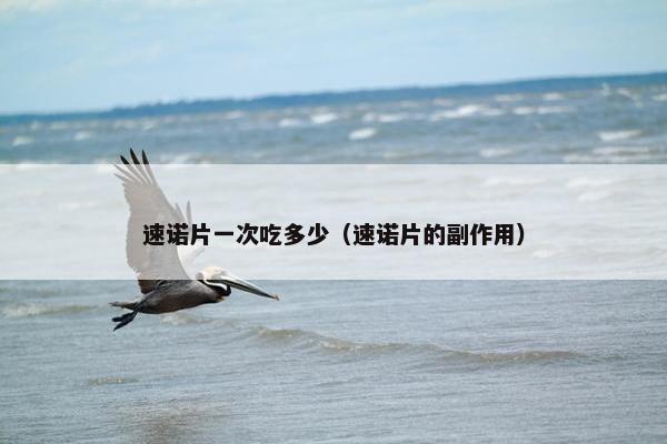 速诺片一次吃多少（速诺片的副作用）