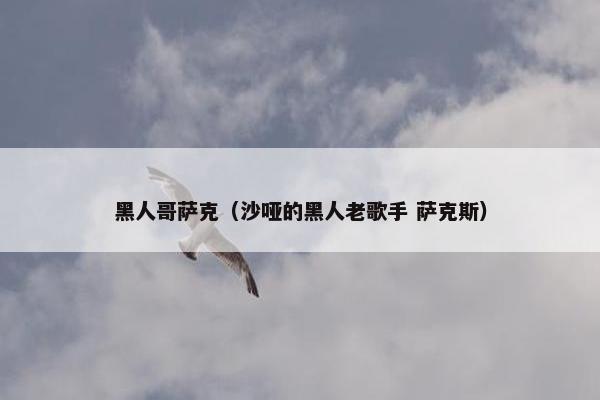 黑人哥萨克（沙哑的黑人老歌手 萨克斯）