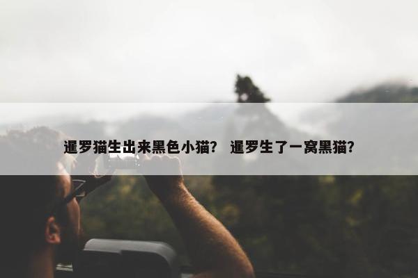 暹罗猫生出来黑色小猫？ 暹罗生了一窝黑猫？