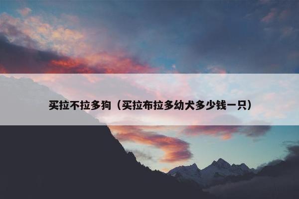 买拉不拉多狗（买拉布拉多幼犬多少钱一只）