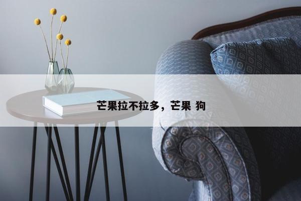 芒果拉不拉多，芒果 狗