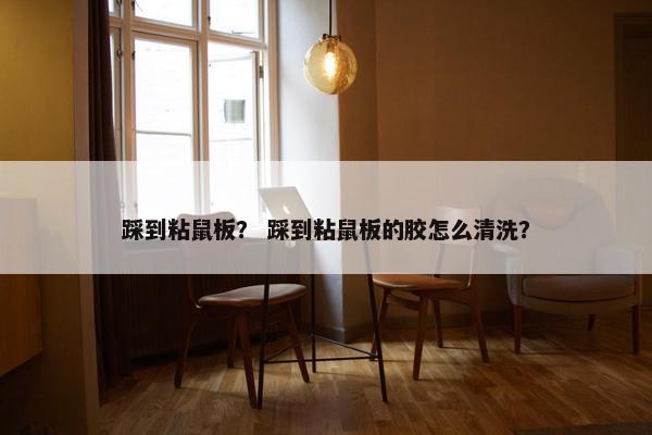 踩到粘鼠板？ 踩到粘鼠板的胶怎么清洗？