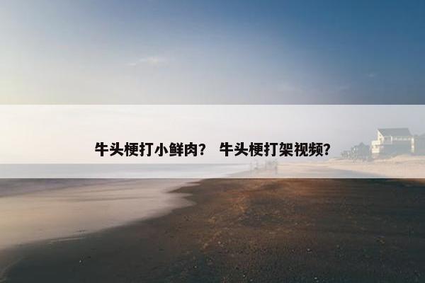 牛头梗打小鲜肉？ 牛头梗打架视频？
