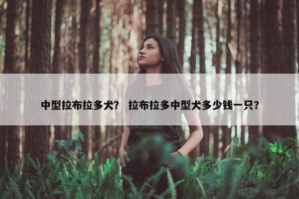 中型拉布拉多犬？ 拉布拉多中型犬多少钱一只？