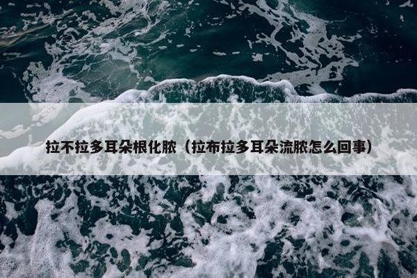 拉不拉多耳朵根化脓（拉布拉多耳朵流脓怎么回事）