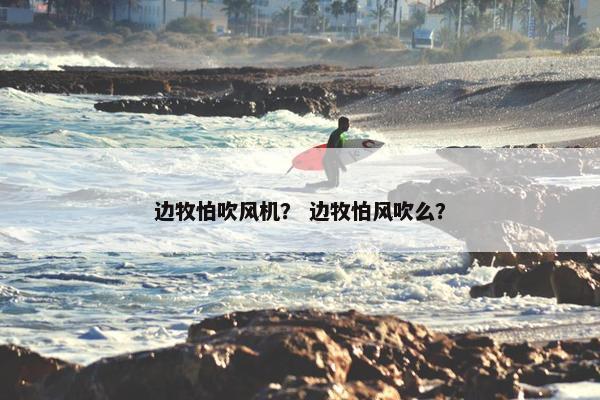边牧怕吹风机？ 边牧怕风吹么？
