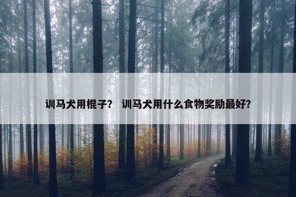 训马犬用棍子？ 训马犬用什么食物奖励最好？