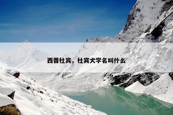 西晋杜宾，杜宾犬学名叫什么
